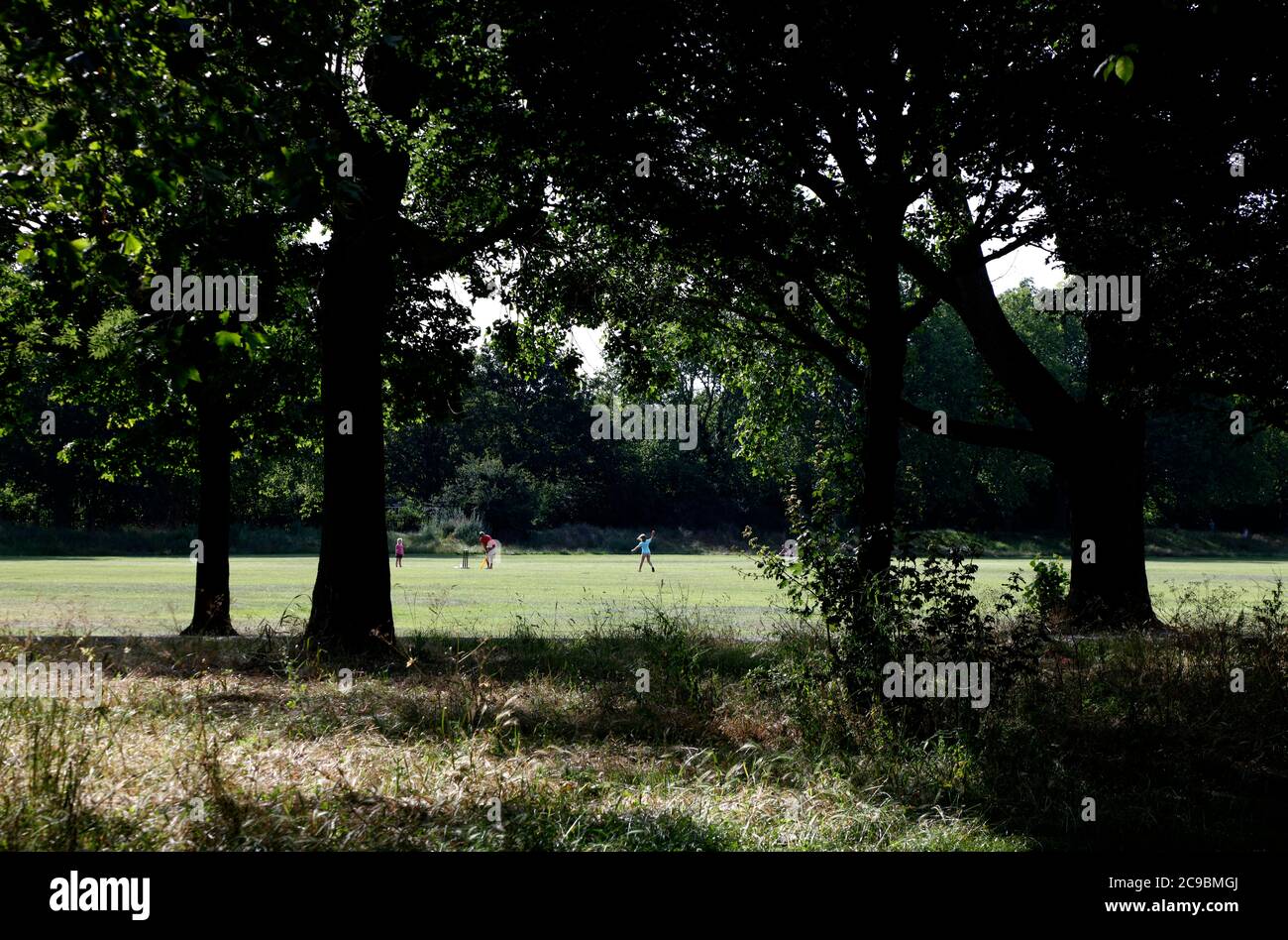 Family game of cricket in Wandsworth Common, Wandsworth, London, UK Stock Photo