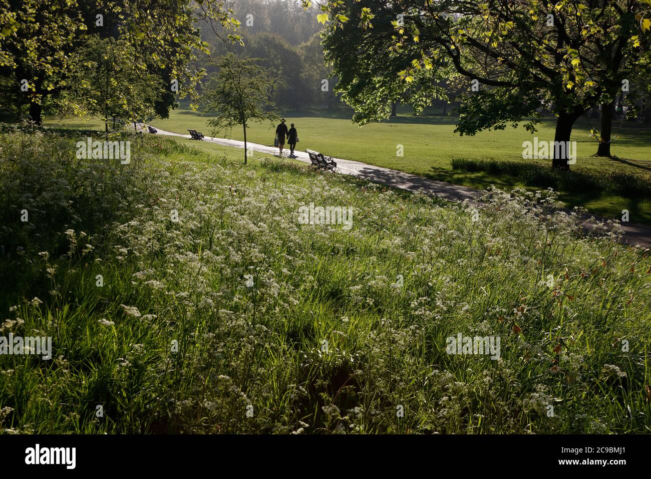 Early Spring morning in Green Park, London, UK Stock Photo