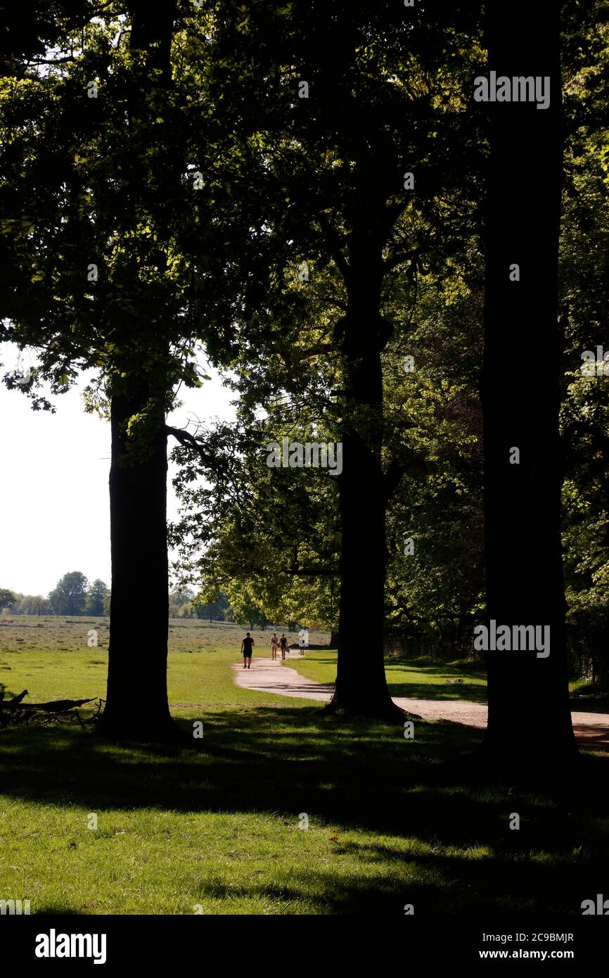 Tamsin Trail by Sheen Wood, Richmond Park, London, UK Stock Photo