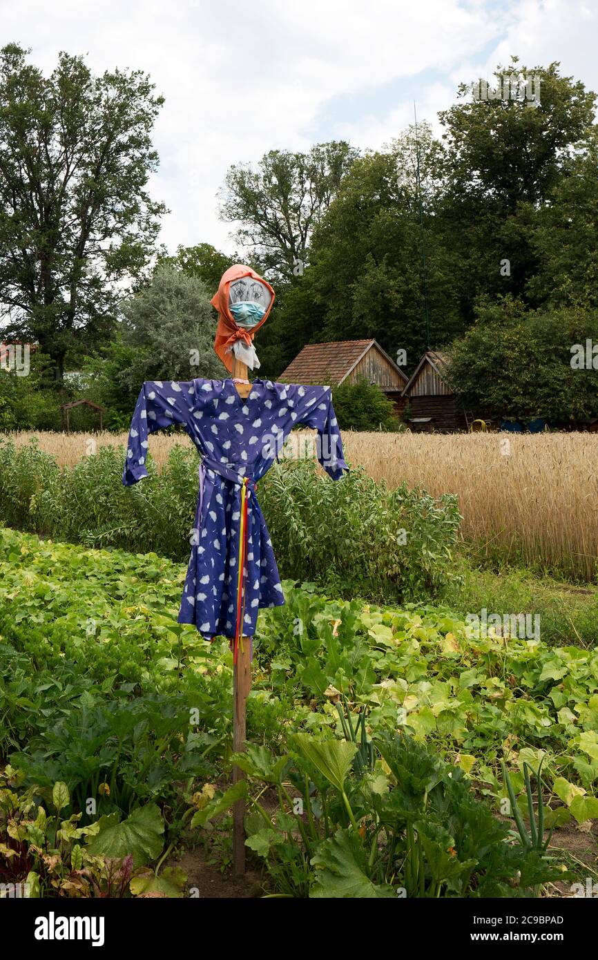 Scarecrow in the field Stock Photo