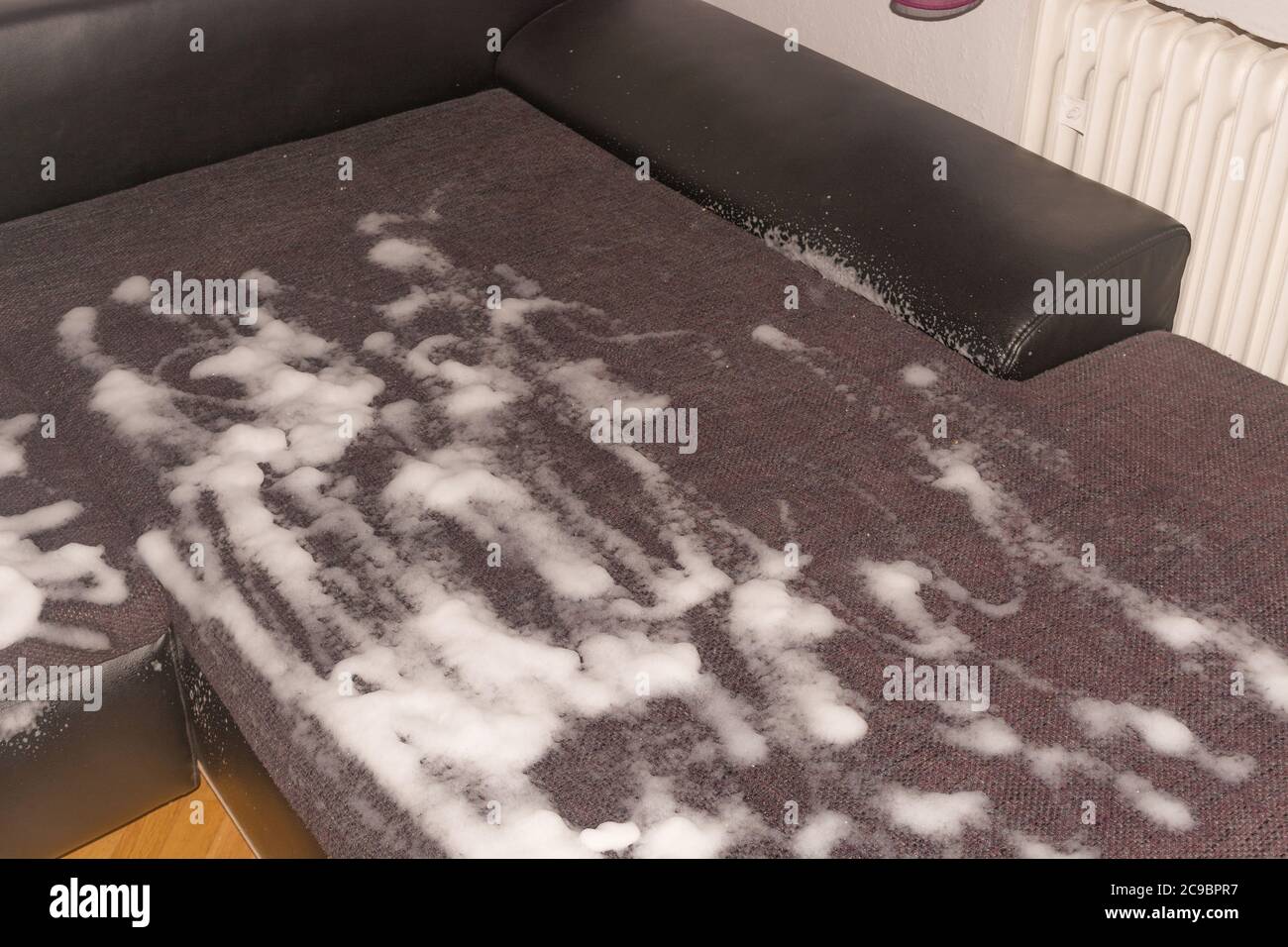 Sofa dry cleaning with professional extraction method. Upholstered