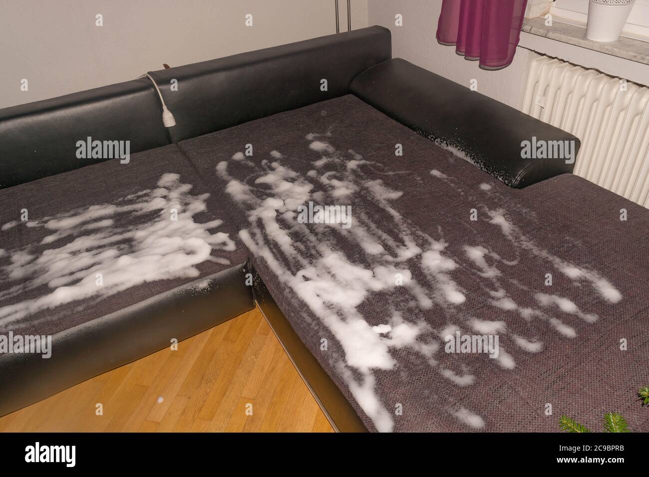 Sofa dry cleaning with professional extraction method. Upholstered