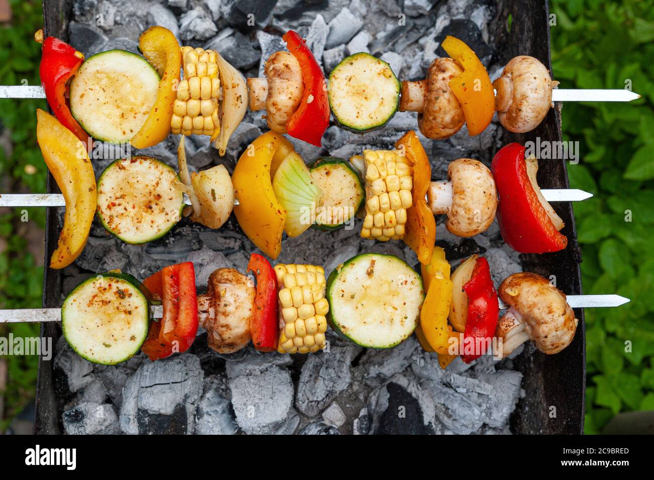 Variety of vegetable ingredients put on metal skewers and placed over