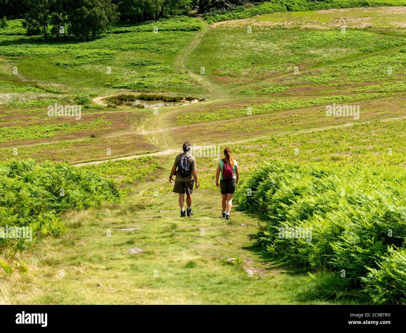 Couple of adult walkers in summer clothing with rucksacks walking downhill in Bradgate Park on a warm summer day, Leicestershire, England, UK Stock Photo