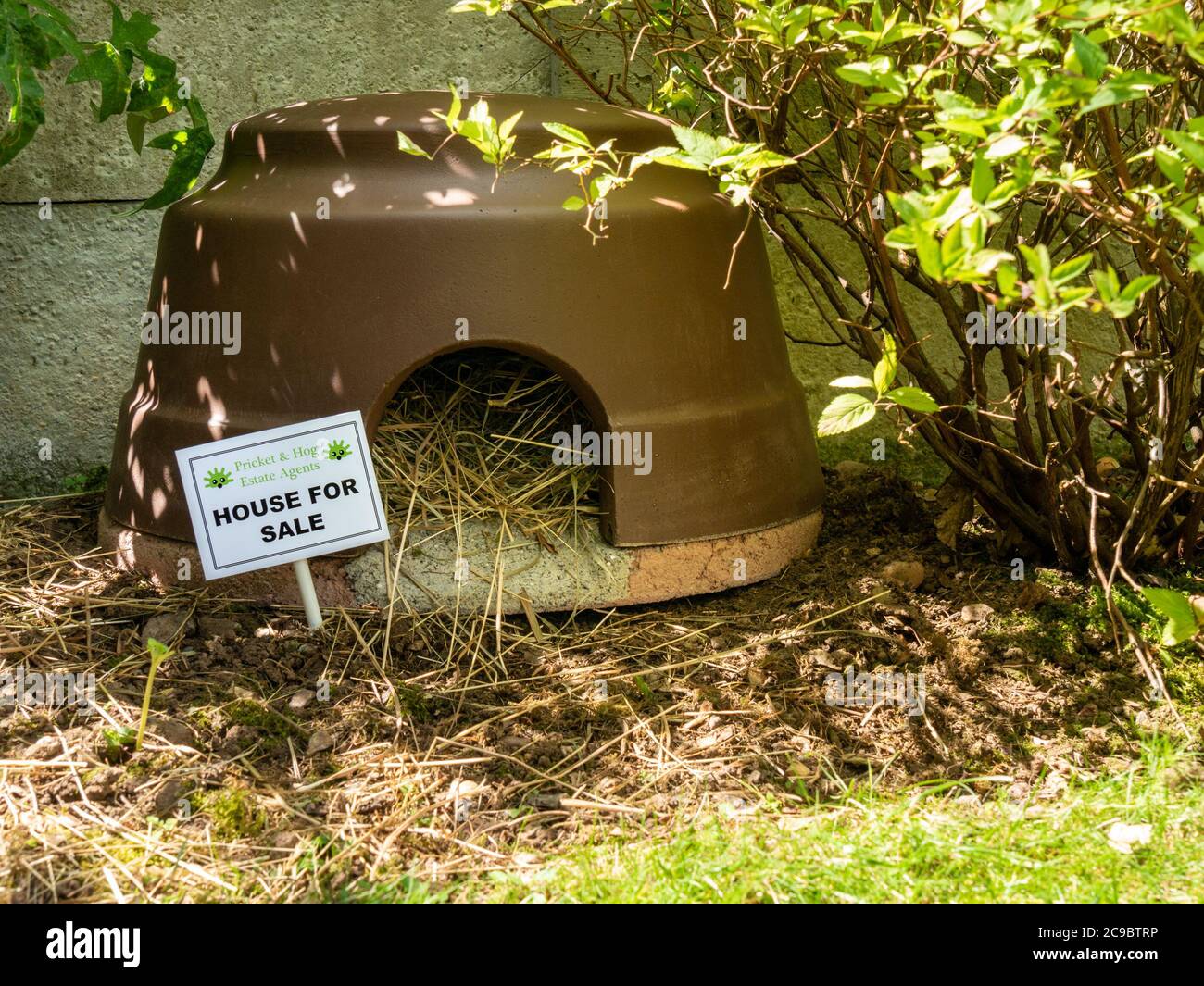 New brown dome 'igloo style' hedgehog house (made by Schwegler) with For Sale sign outside in garden undergrowth. Stock Photo