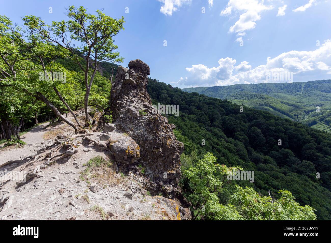 Volcanic rocks (Vadallo-kovek) in the Pilis mountains near Budapest, Hungary. Stock Photo