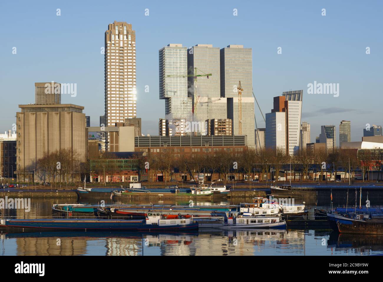 The View Rijnhaven View to Rijnhaven, new buildings, Rotterdam, Netherlands Stock Photo ...
