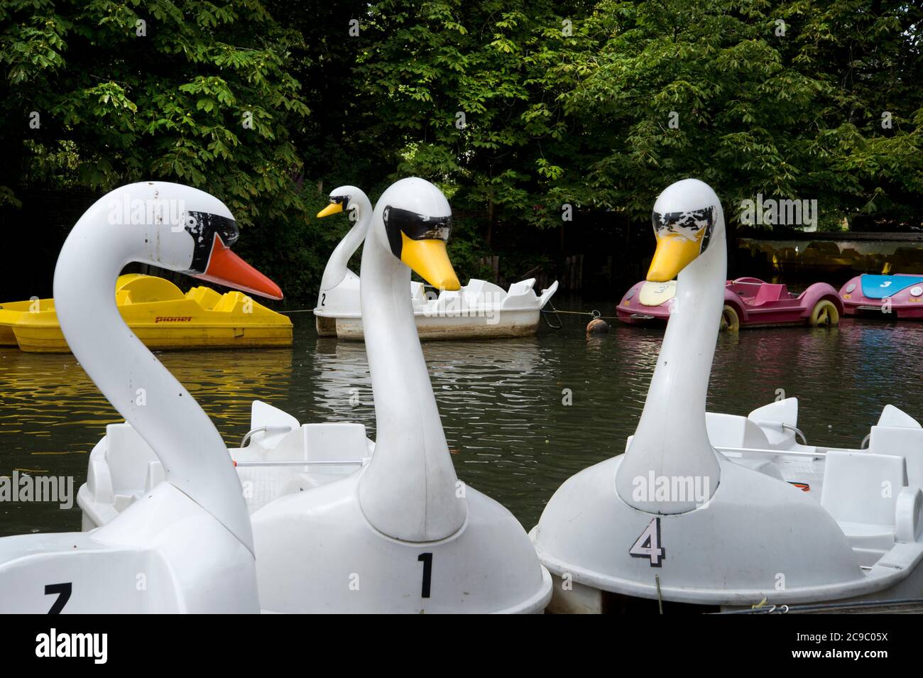 North London, England; UK.Alexandra Palace, boating lake. Swan Pedalos. Stock Photo