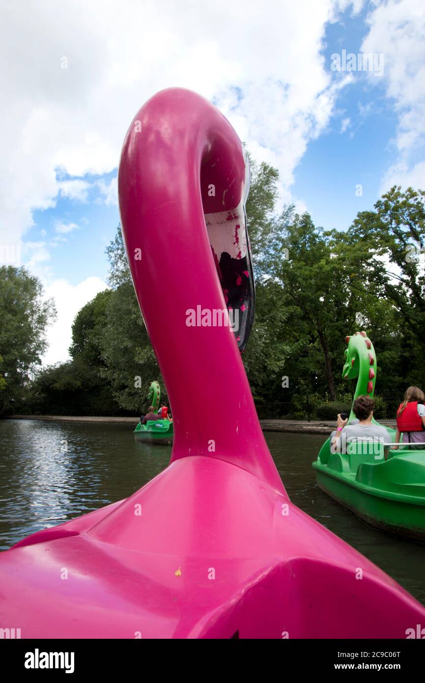 North London, England; UK.Alexandra Palace, boating lake. Flamingo pedalo. Stock Photo