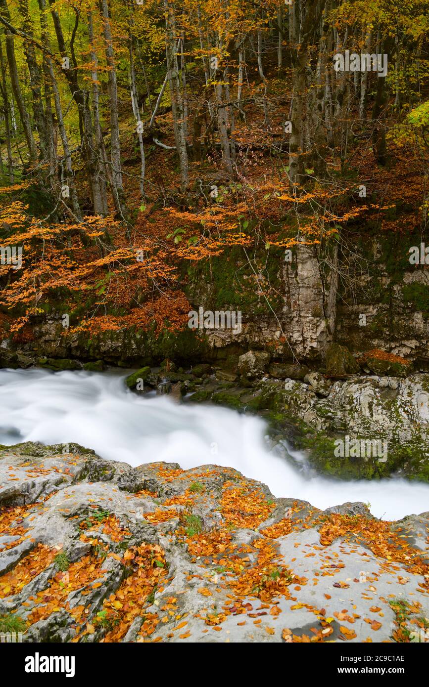 Autumn in Ordesa National Park, Pyrenees, Huesca, Aragon in Spain. Stock Photo