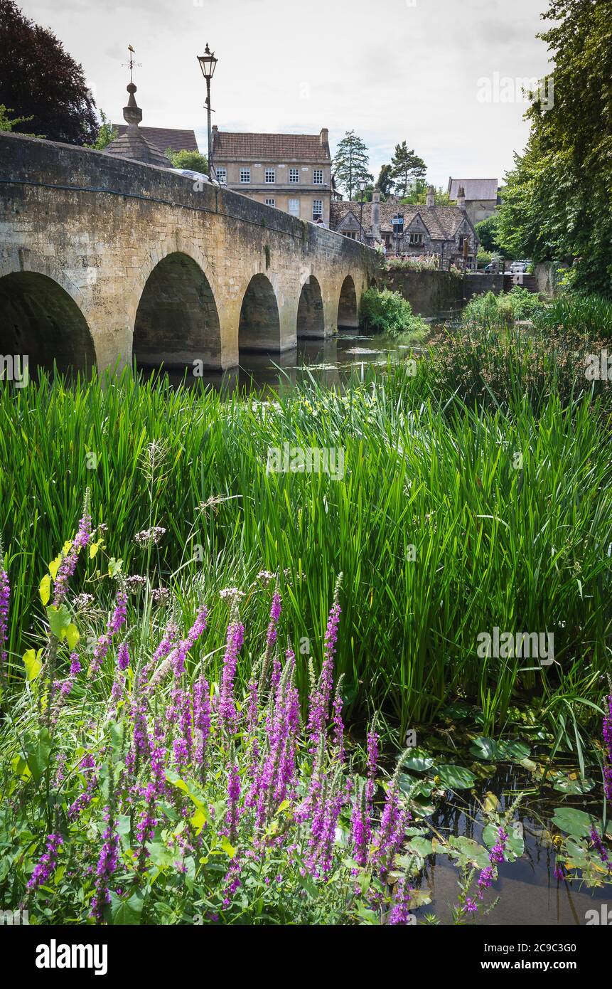 River plants uk hires stock photography and images Alamy