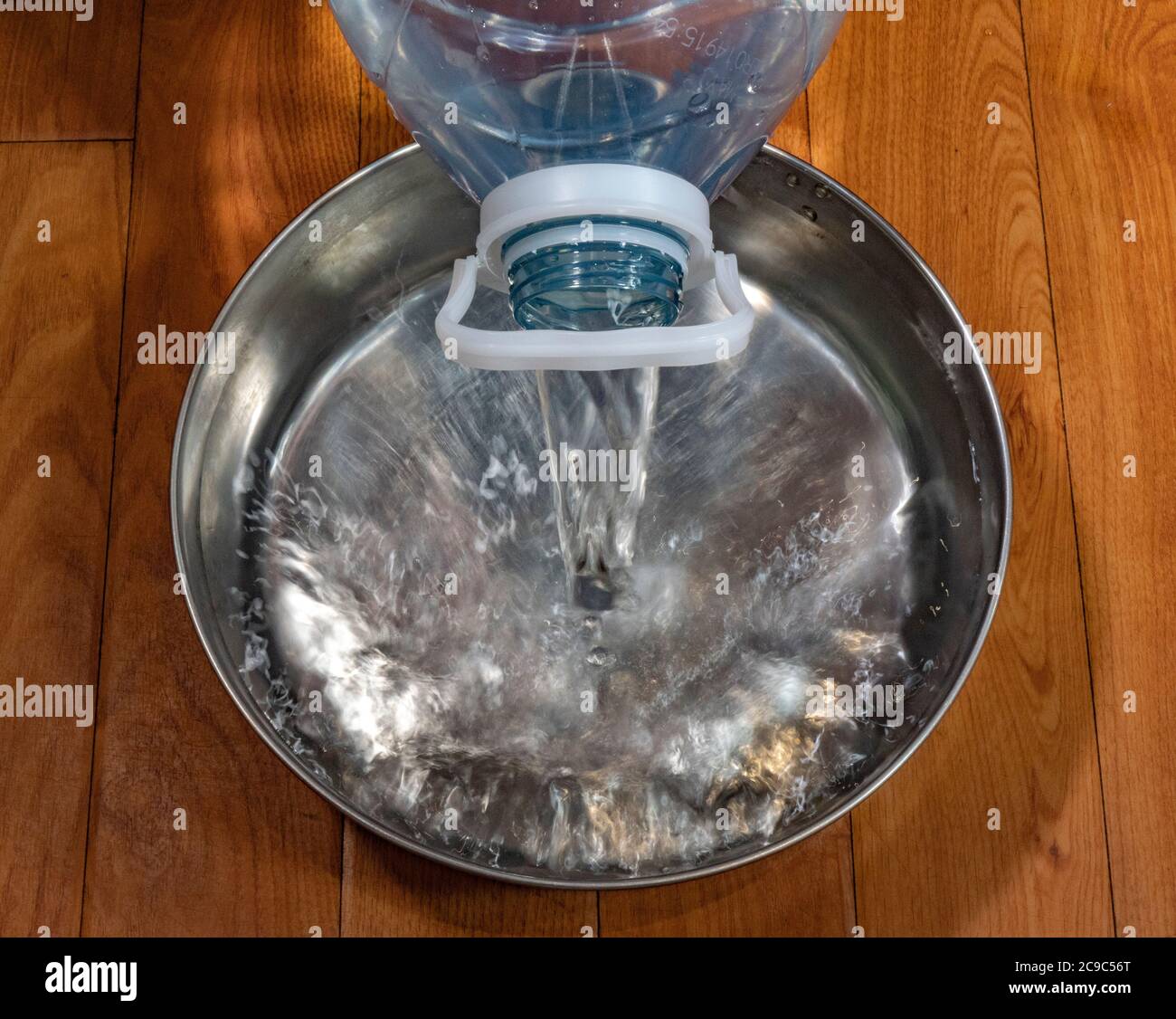 How Do You Clean Plastic Dog Water Bowls