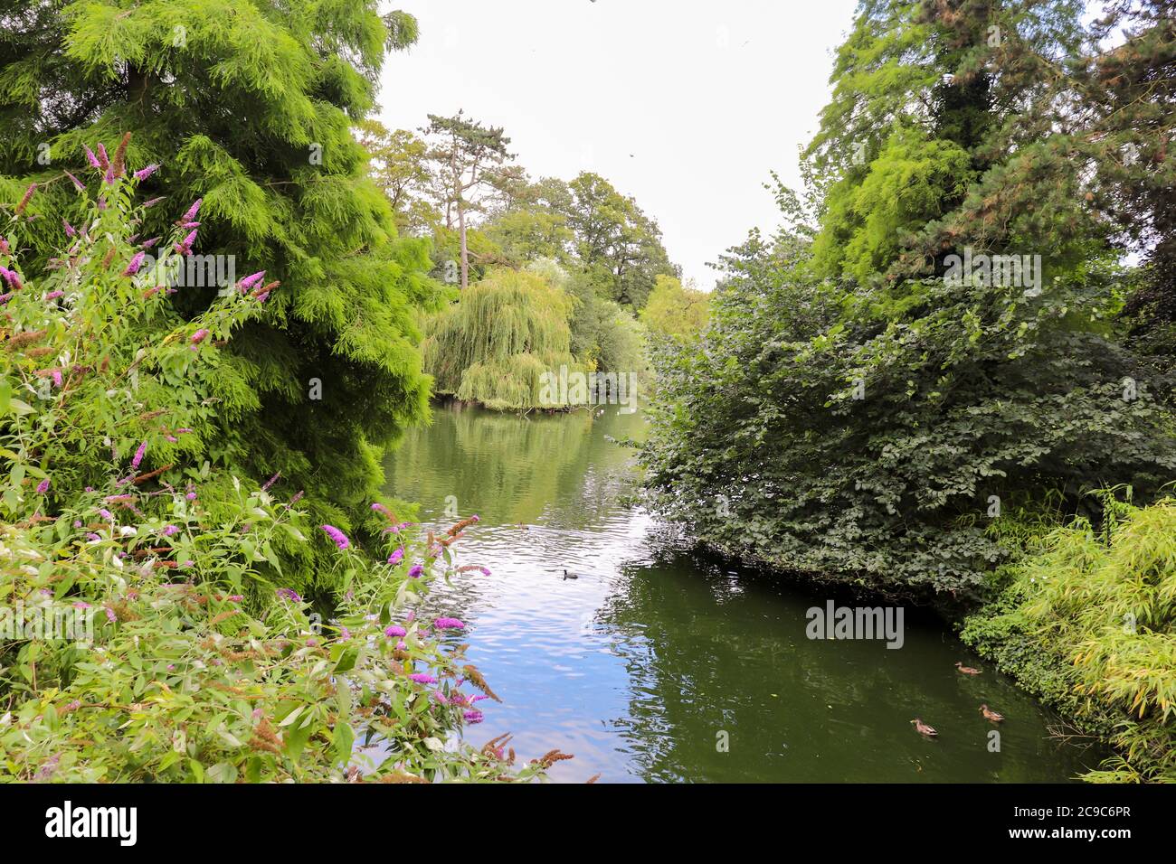 A beautiful English park in Wolverhampton on a sunny day. A great place to relax Stock Photo Alamy