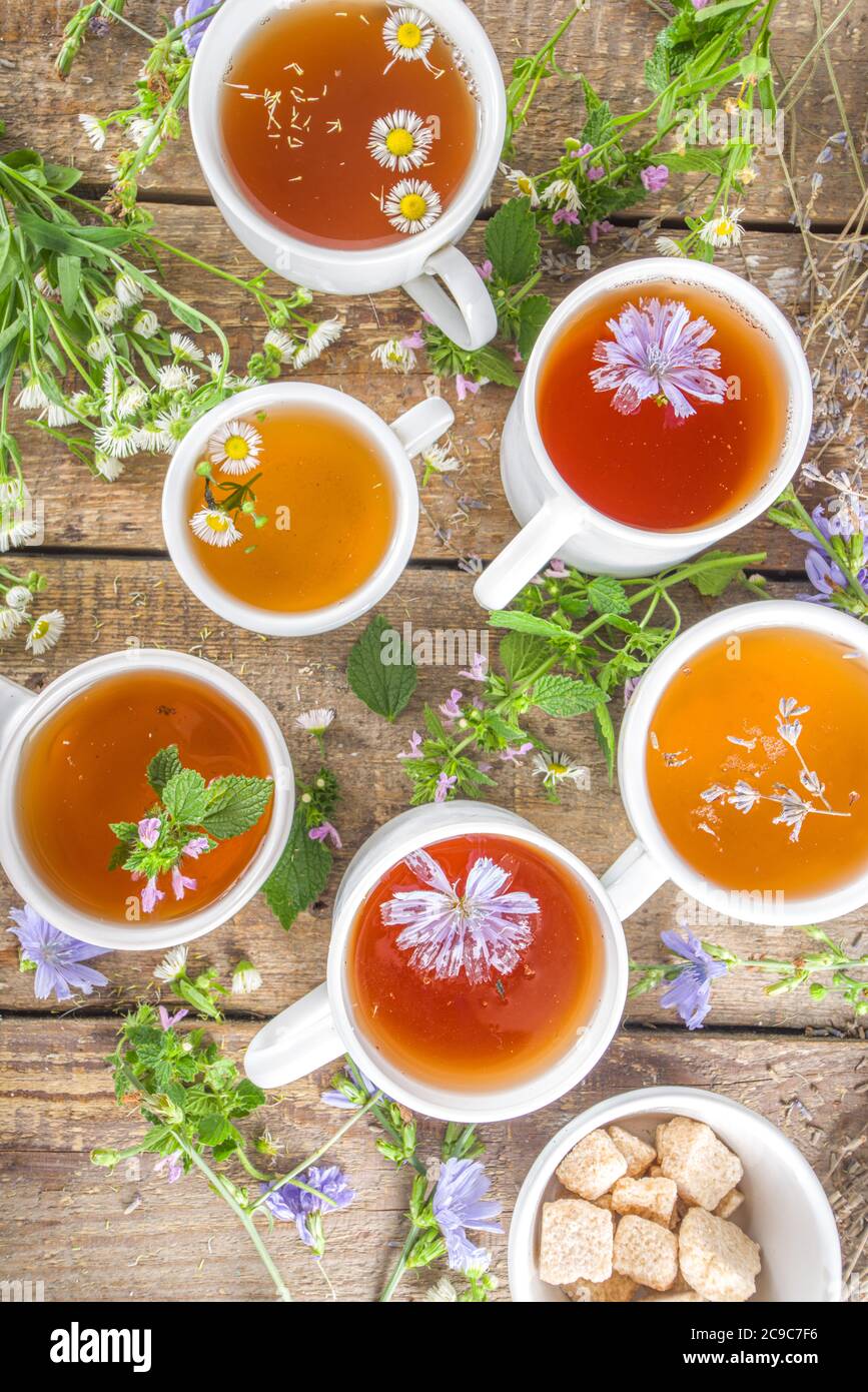 Different herbal tea set. Various  cups with organic herbal, flower tea - camomile, chicory, melissa mint, lavender. Organic natural drinks concept. H Stock Photo