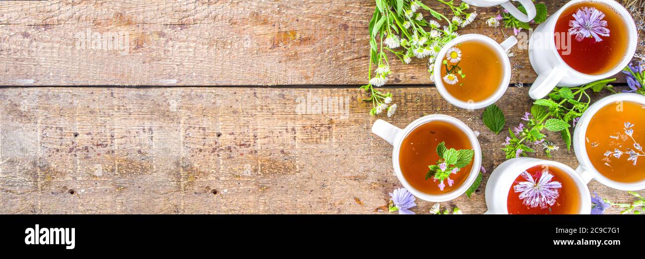 Different herbal tea set. Various  cups with organic herbal, flower tea - camomile, chicory, melissa mint, lavender. Organic natural drinks concept. H Stock Photo