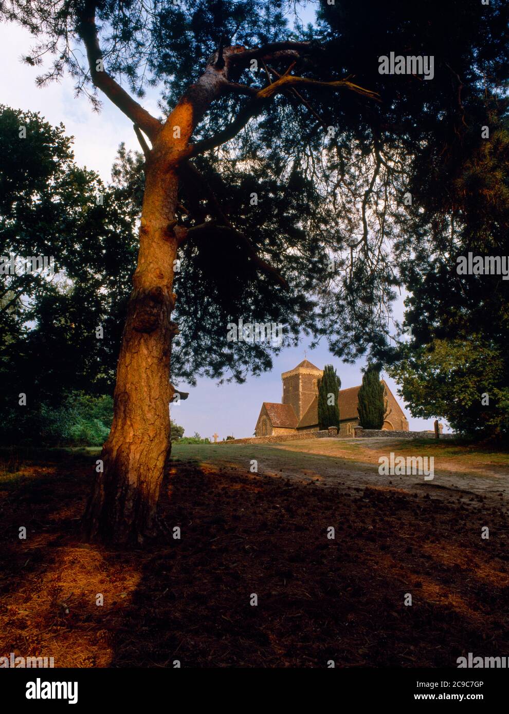 View ESE of the Pilgrims' Way passing St Martha's on the Hill, Chilworth, Surrey, England, UK: a C12th Norman church rebuilt 1848-50 by Henry Woodyer. Stock Photo