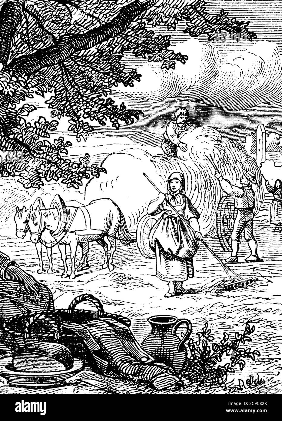 A Raking hay which is loading hay into wagon, vintage line drawing or