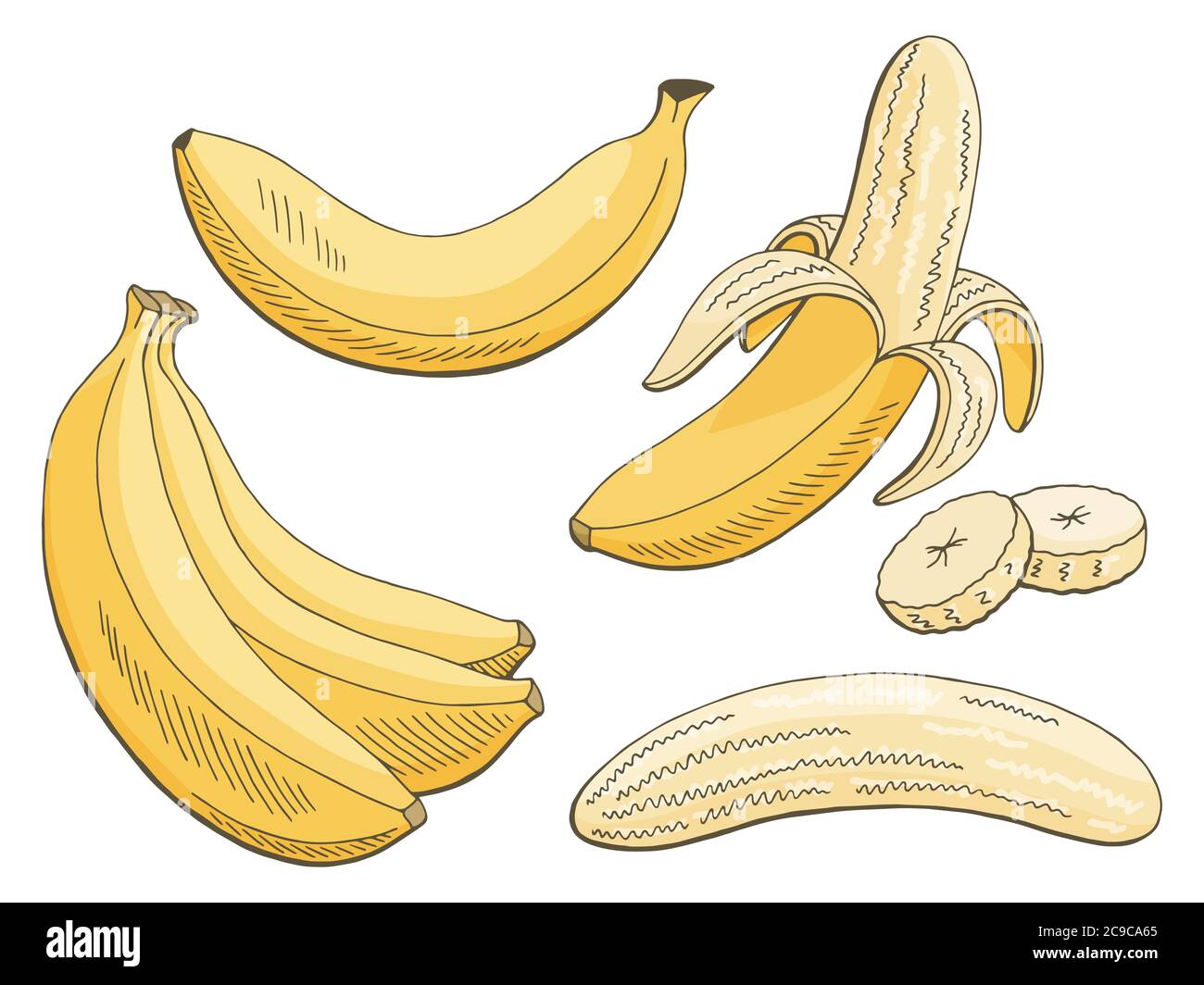 Fruit Line art Banana, line drawing, white, mammal, carnivoran png | PNGWing