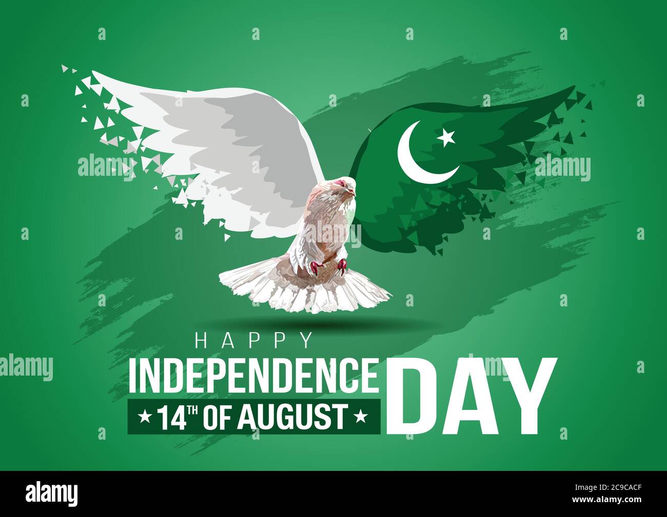 Celebrating Pakistan happy Independence Day. Abstract wings flag and pigeon on green background Stock Vector