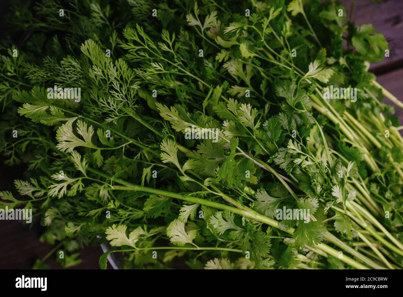 Bunch of fresh cilantro, coriander close-up. authentic still life. Top view, Stock Photo