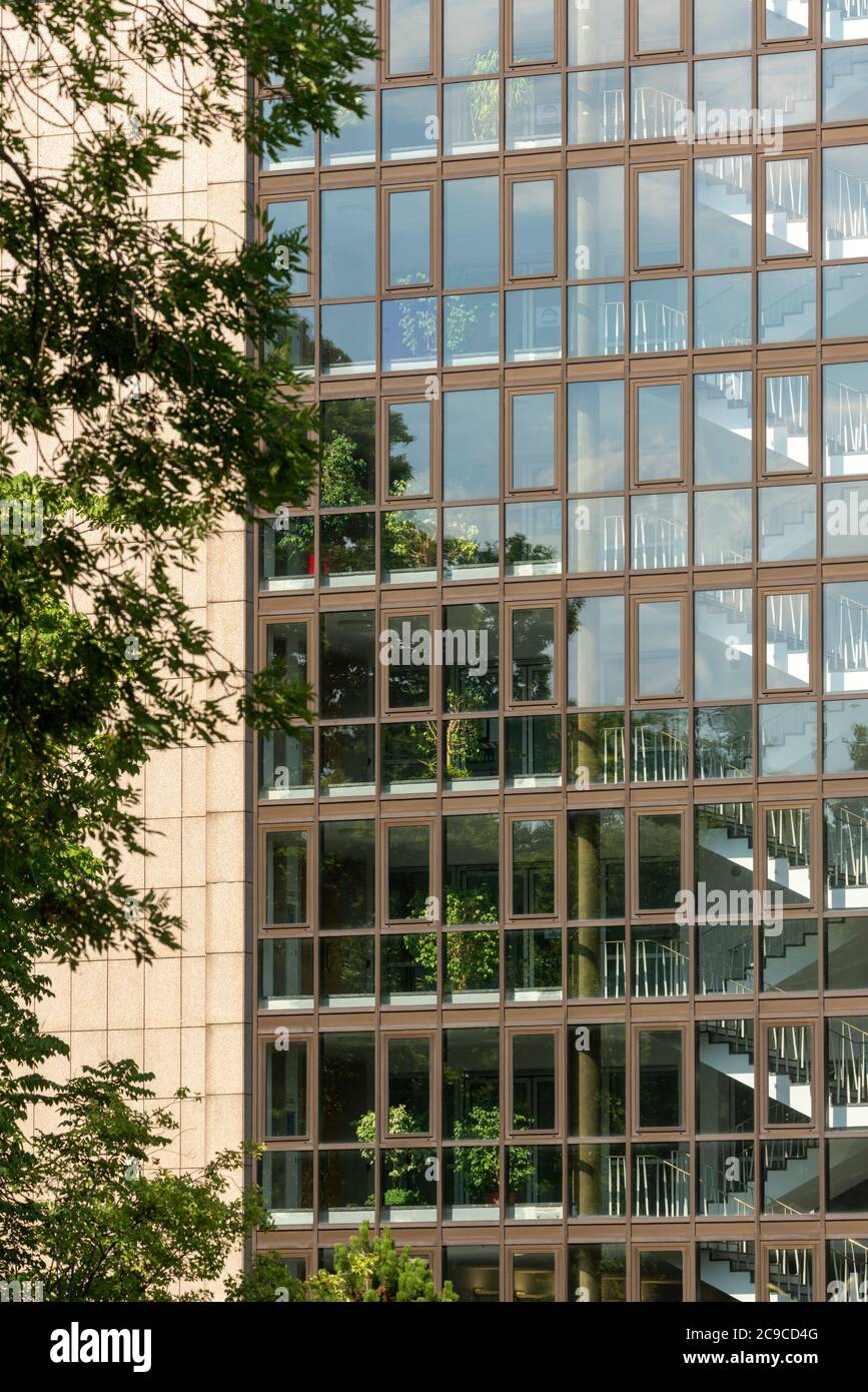 Bonn, Regierungsviertel (Bundesviertel, Parlamentsviertel), Gebäude des Auswärtigen Amts, 1953-1955 von Hans Freese und Robert Glatzer erbaut, Westfas Stock Photo
