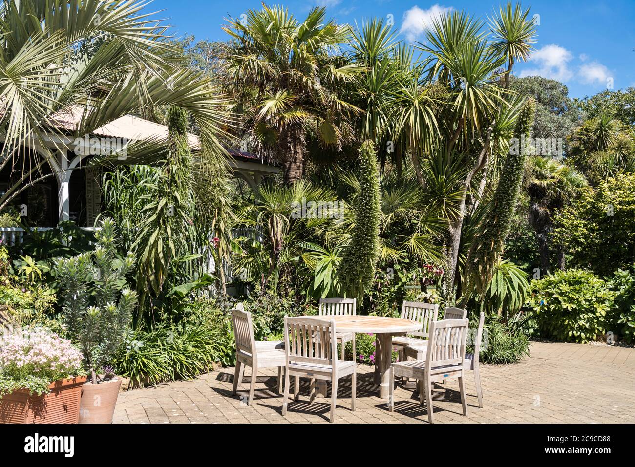 the café veranda at Abbotsbury Subtropical Gardens in the Dorset