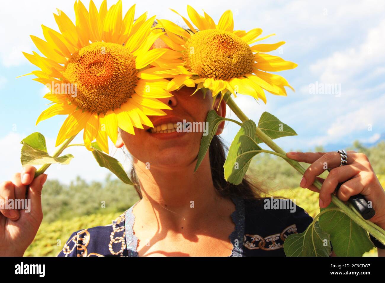 happy nice woman hides behind yellow blooming sunflowers in summer Stock Photo