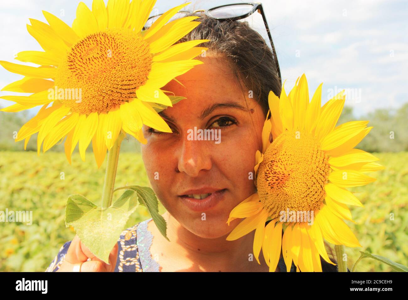 happy nice woman hides behind yellow blooming sunflowers in summer Stock Photo