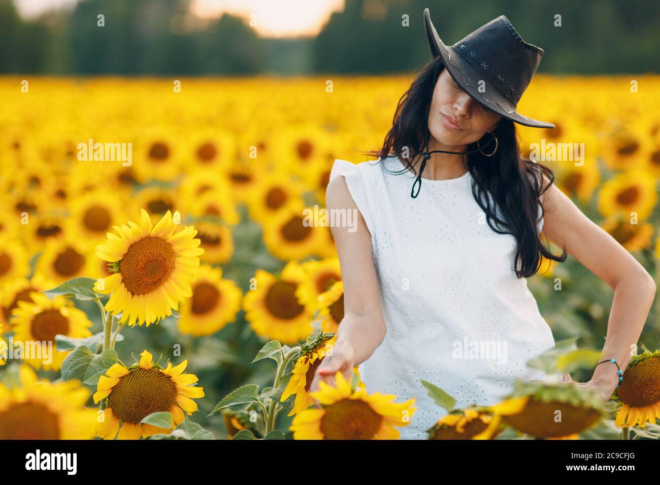 Beautiful young woman in hat on sunflower field Stock Photo - Alamy