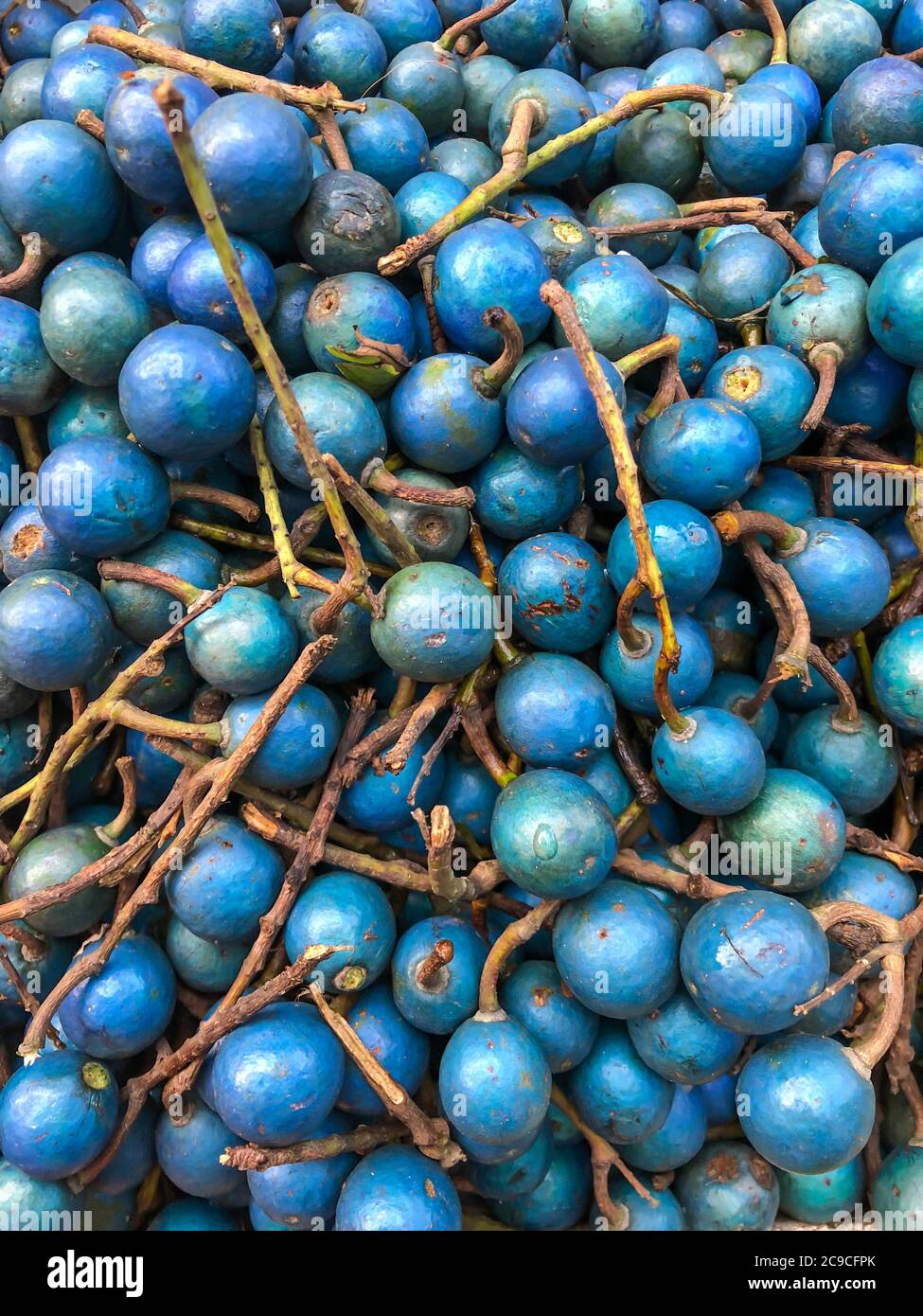 traditional blue olive fruit of Sri Lanka in market as a background Stock Photo