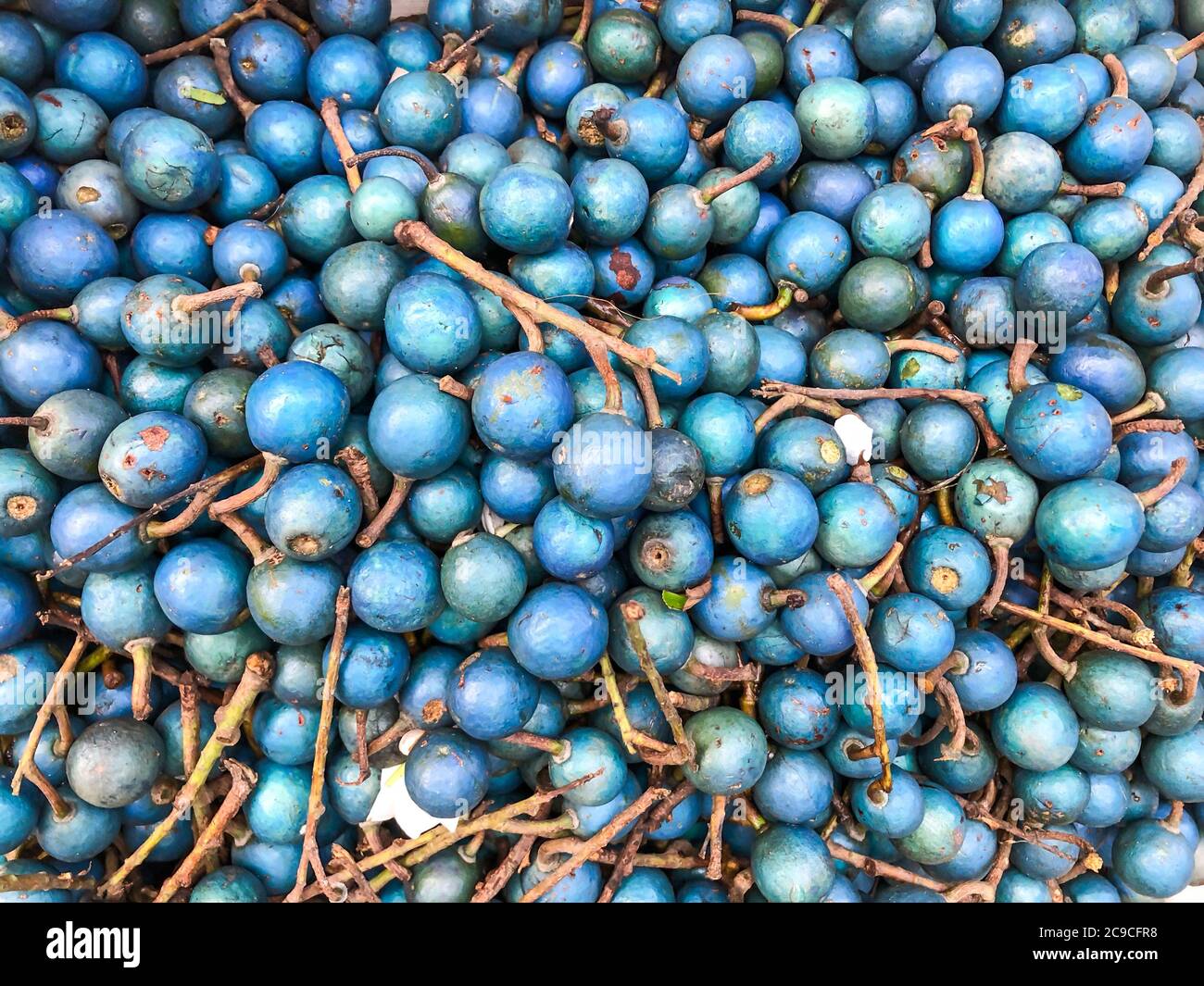 traditional blue olive fruit of Sri Lanka in market as a background Stock Photo