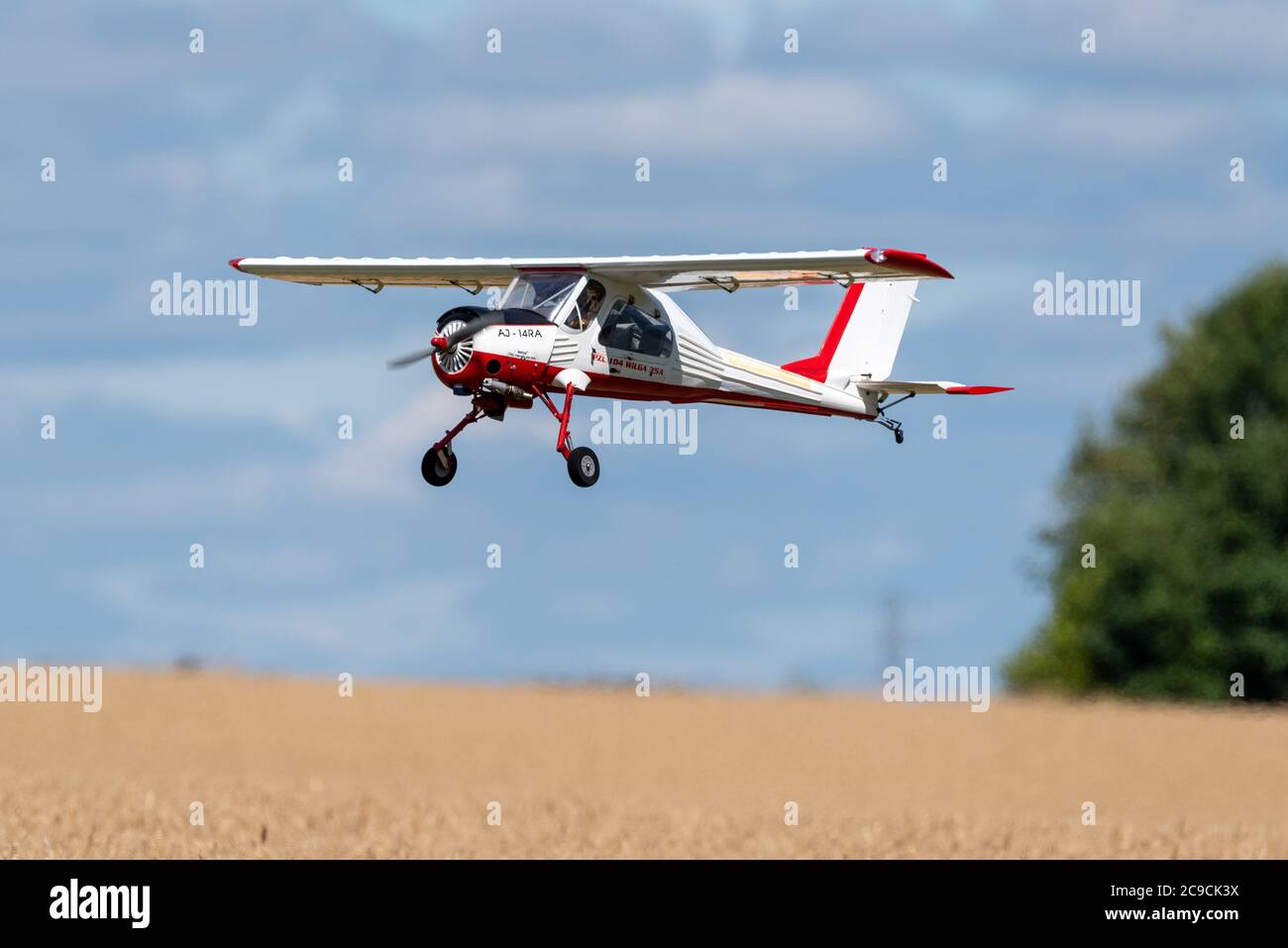 Model Wilga radio-control aircraft coming into land, Winchester, UK Stock Photo