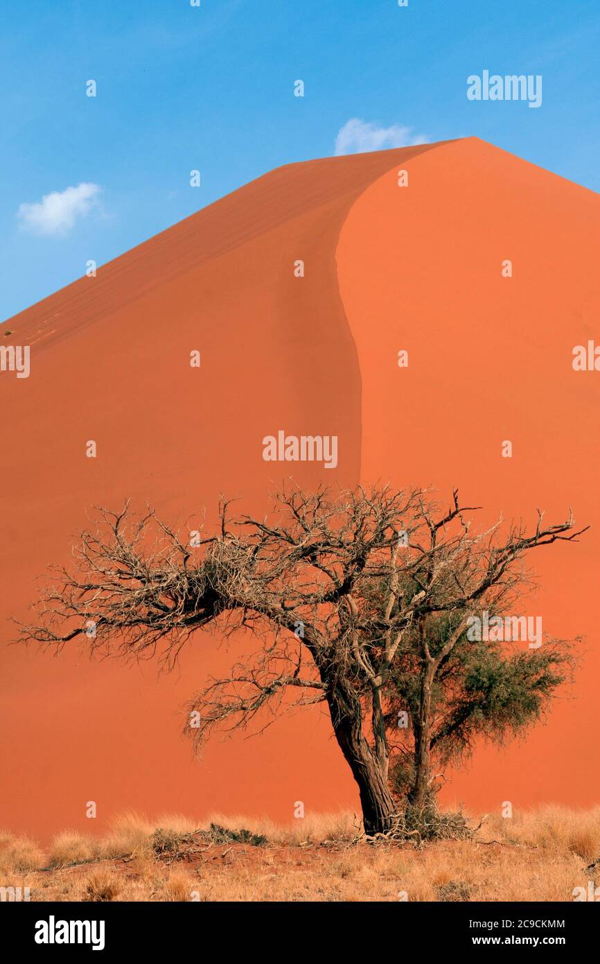 Highest dune in the world hires stock photography and images Alamy