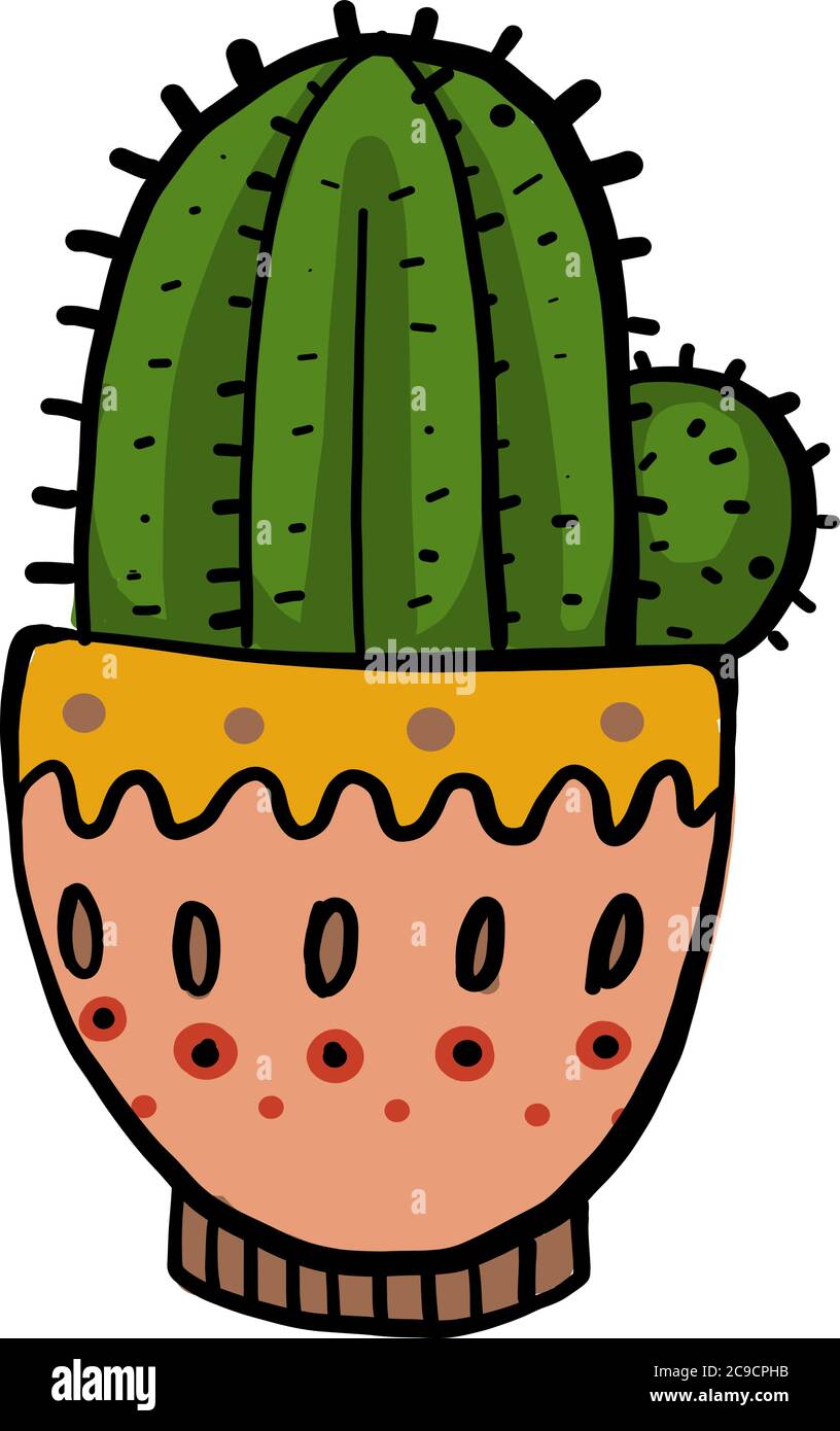 Cactus in a beautiful pot, illustration, vector on white background ...