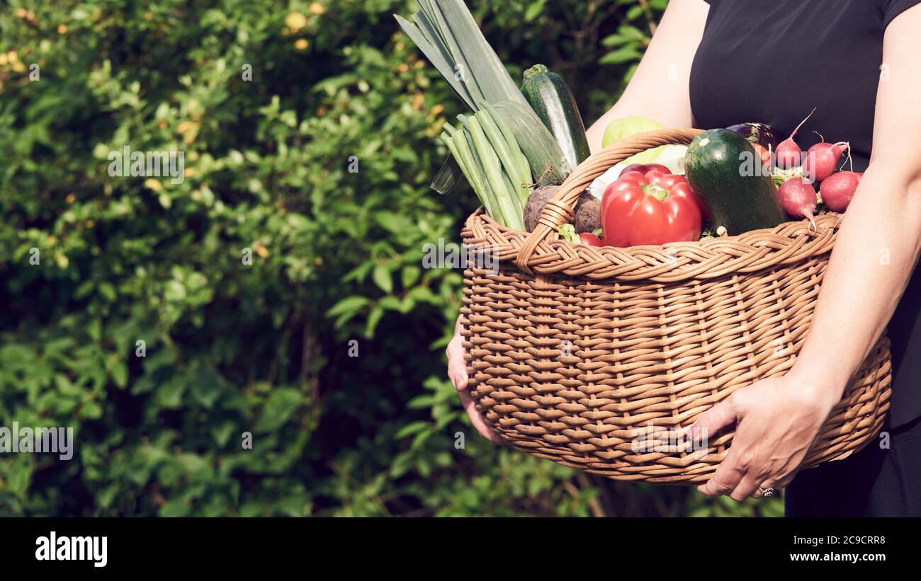 Farmer woman holding wicker basket full of fresh raw vegetables. Basket ...