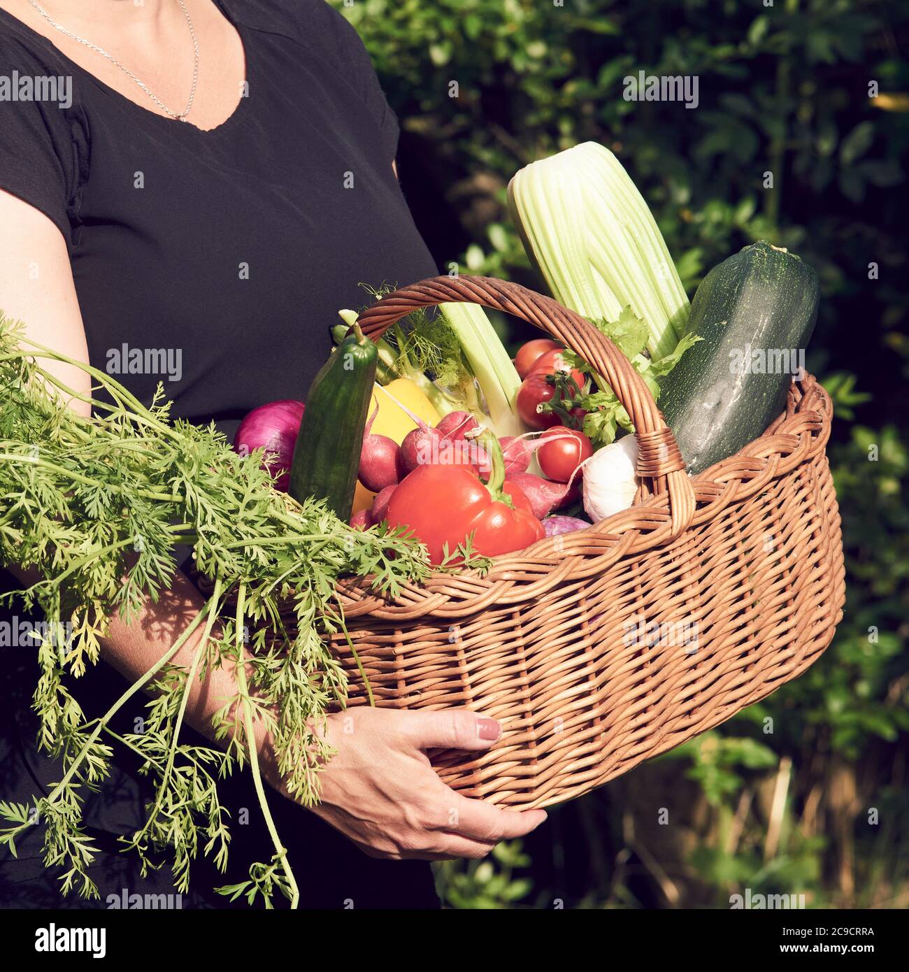 Farmer woman holding wicker basket full of fresh raw vegetables. Basket ...
