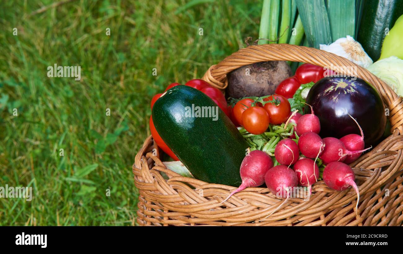 Wicker basket with fresh natural vegetables on a background of green ...