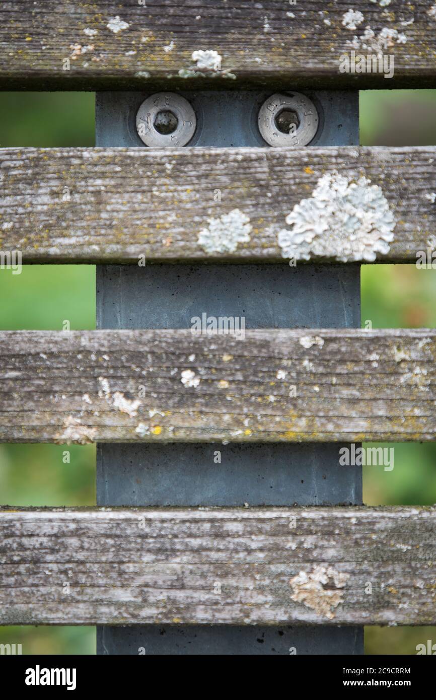 Part of a wooden bench that looks like a face Stock Photo - Alamy