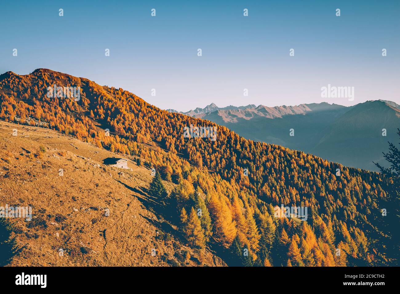 Sondrio - Valtellina (IT) - Autumn sunset at Alpe Colina Stock Photo