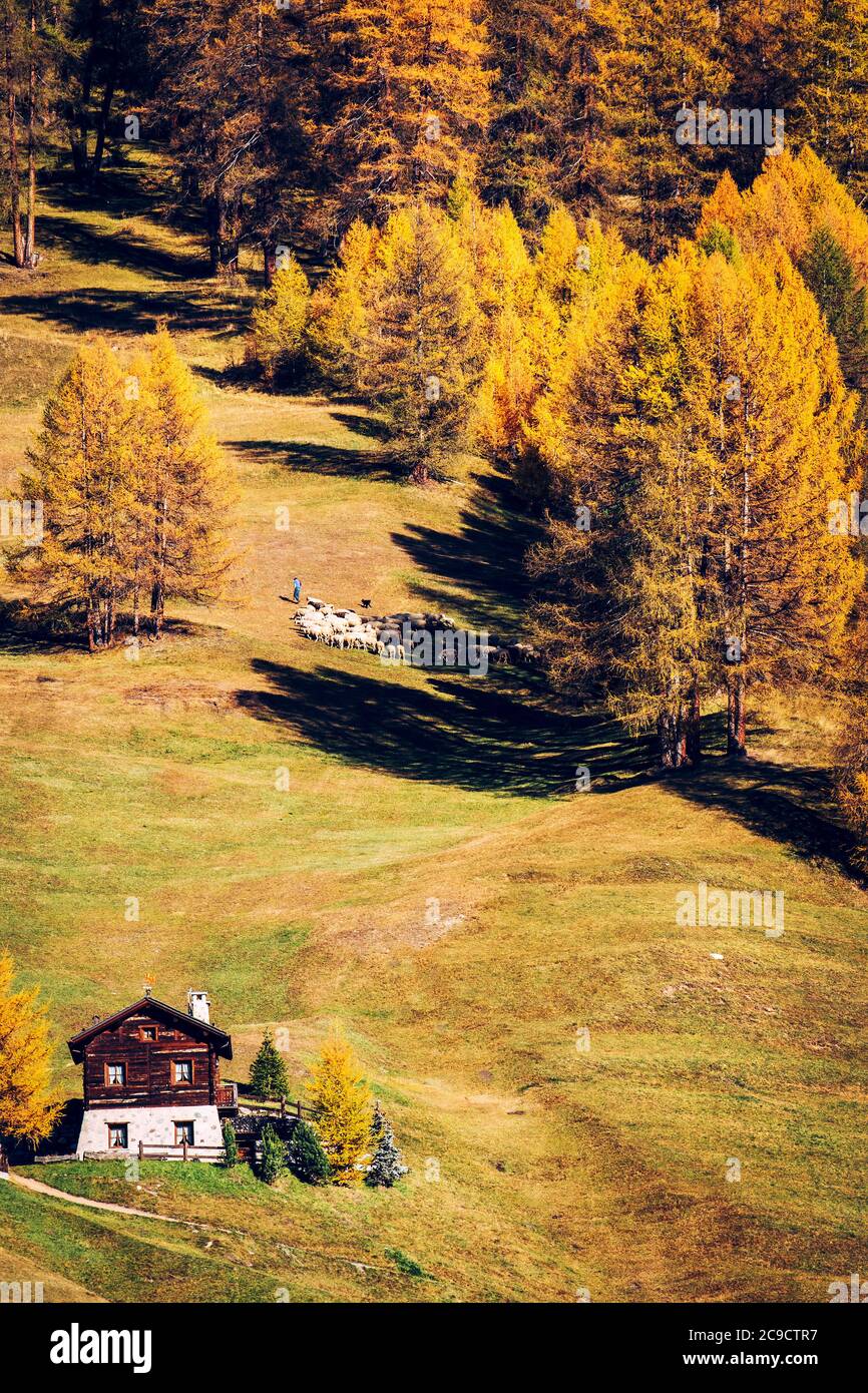 Livigno - Valtellina (IT) - Typical mountain hut in autumn environment Stock Photo
