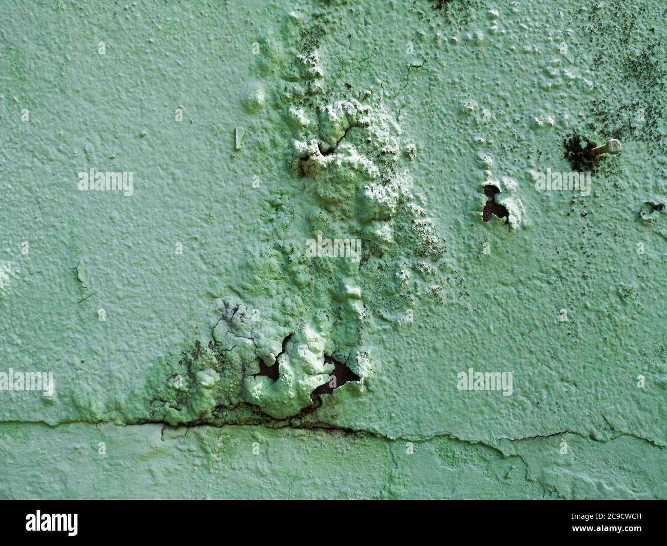 Moldy surface hires stock photography and images Alamy