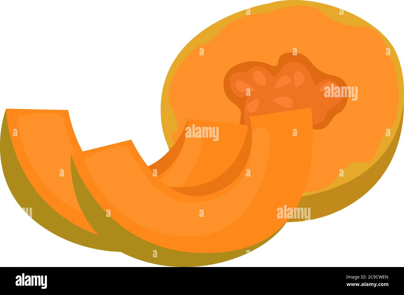 Cantaloupe fruit, illustration, vector on white background Stock Vector