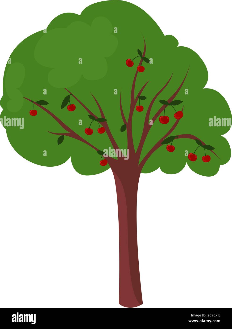 Cherry tree, illustration, vector on white background Stock Vector ...