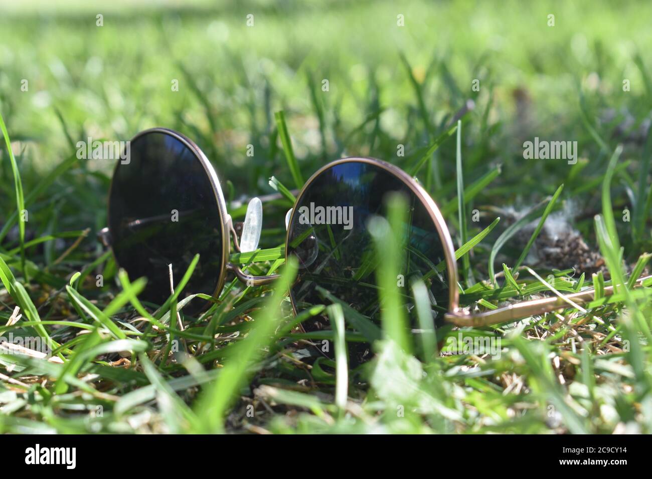 Sunglasses in the Grass in the Summer Stock Photo