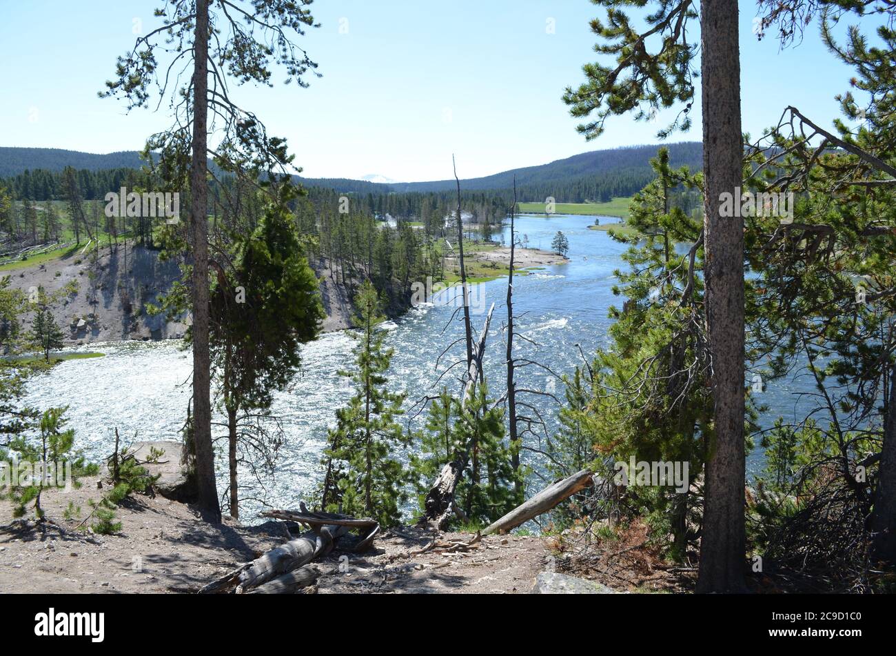 Yellowstone Spring Steam Late Spring in Yellowstone National Park: Yellowstone River and Steam ...
