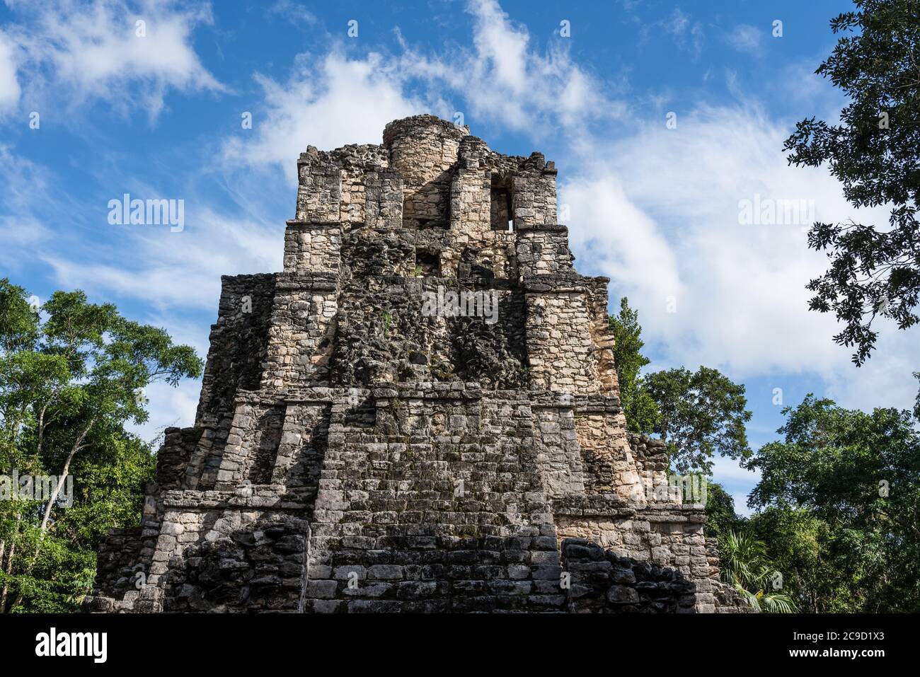 Q Roo High Resolution Stock Photography And Images Alamy