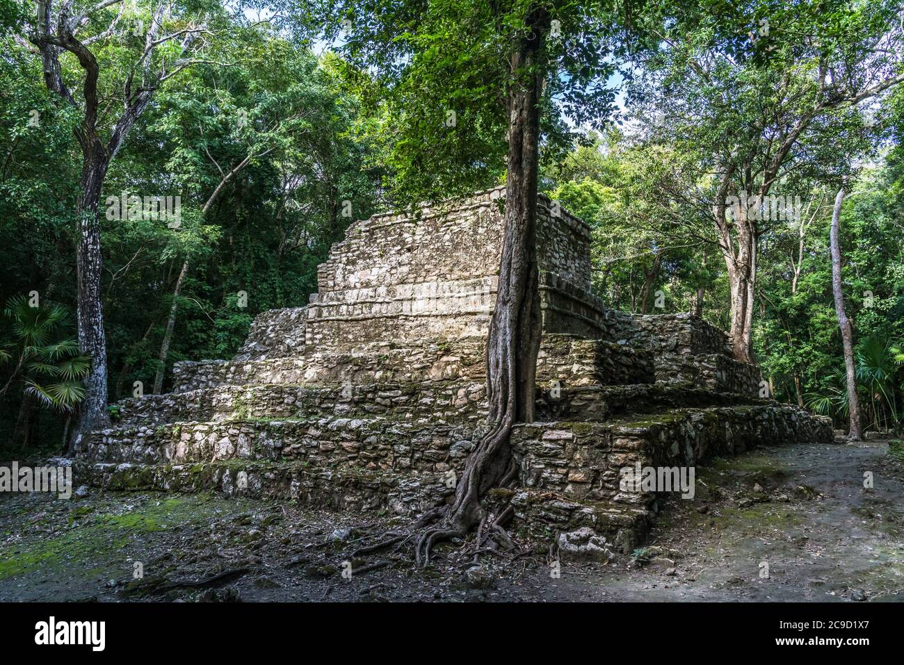 Structure 9K-1,  Temple 8 or the Pink Palace in the ruins of the Mayan city of Muyil or Chunyaxche in the Sian Ka'an UNESCO World Biosphere Reserve in Stock Photo