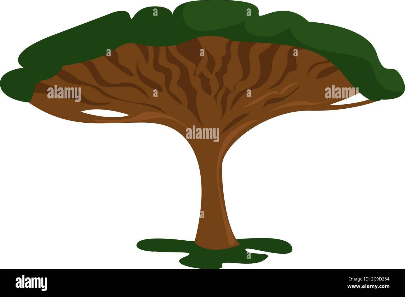 Dragon tree, illustration, vector on white background Stock Vector