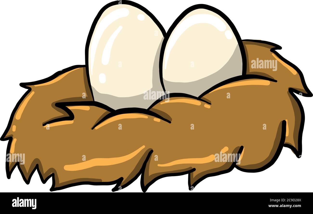 Eggs in nest, illustration, vector on white background Stock Vector