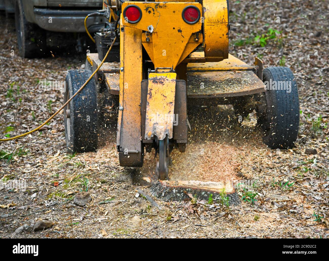 A Stump Grinding Machine Removing a Stump from Cut Down Tree Stock